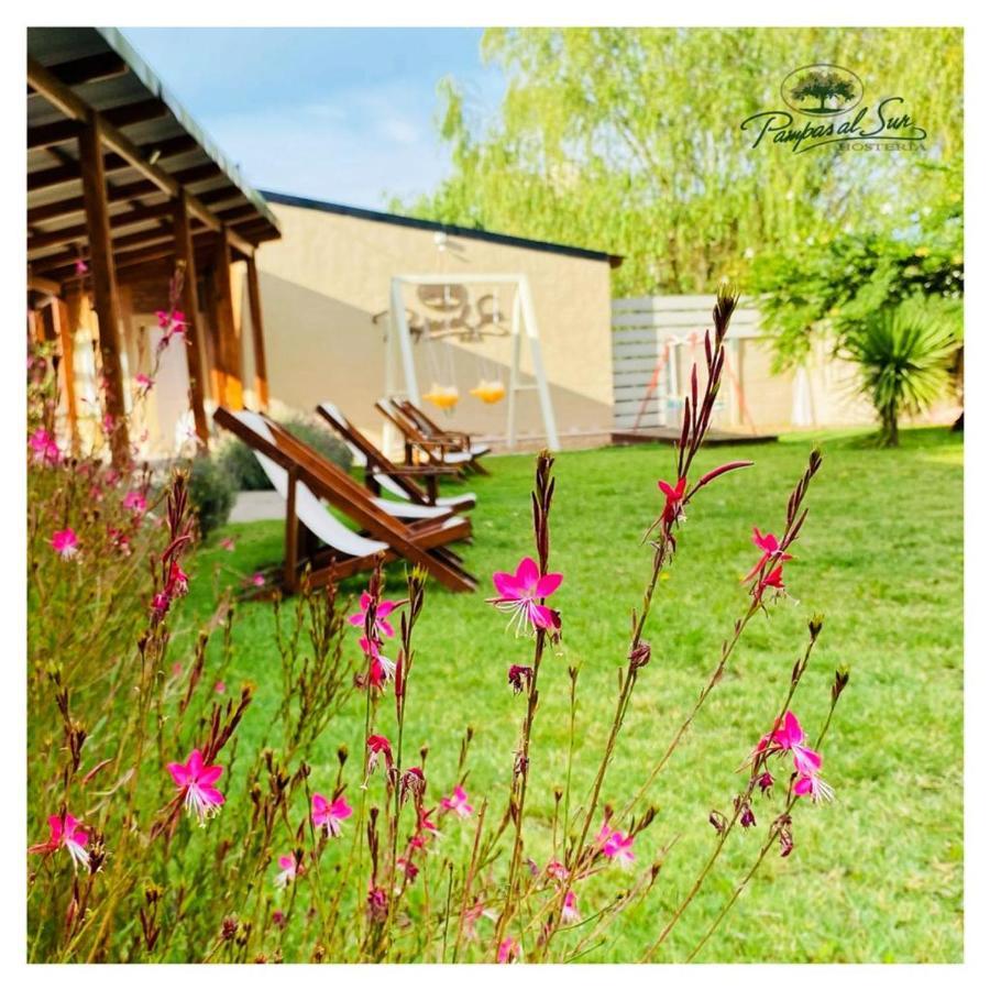 Pampas Al Sur Hotel Рио Колорадо Екстериор снимка